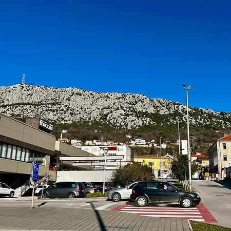 The Olive Tree 아파트 루브스키