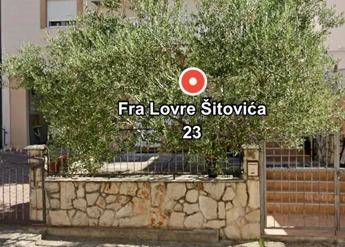 The Olive Tree 루브스키