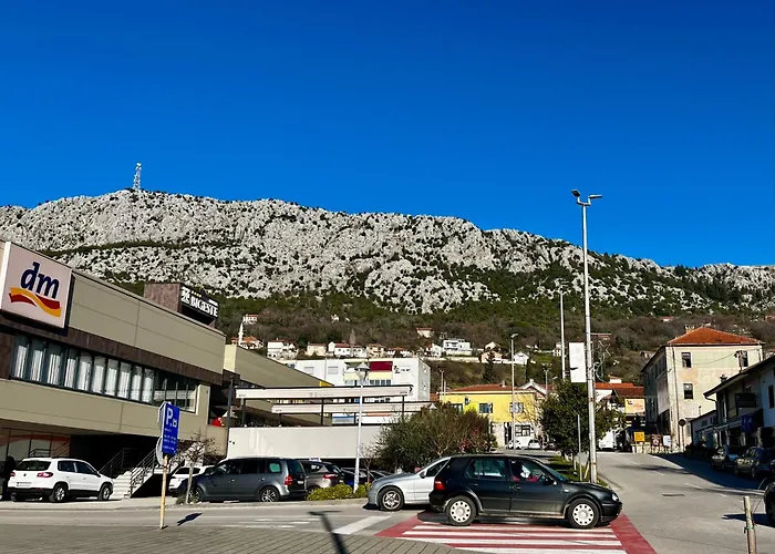 The Olive Tree 아파트 루브스키