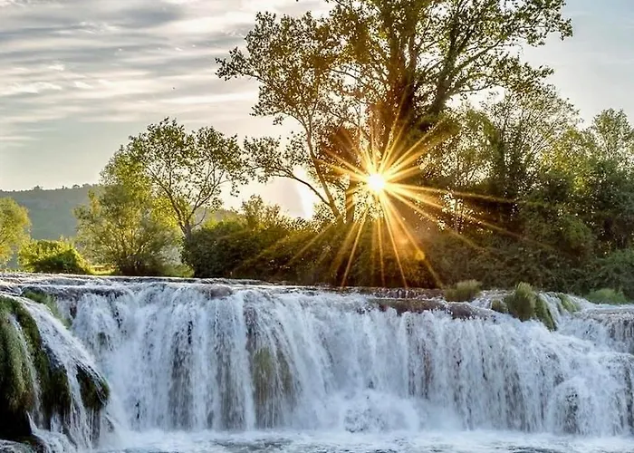 The Olive Tree 아파트 루브스키