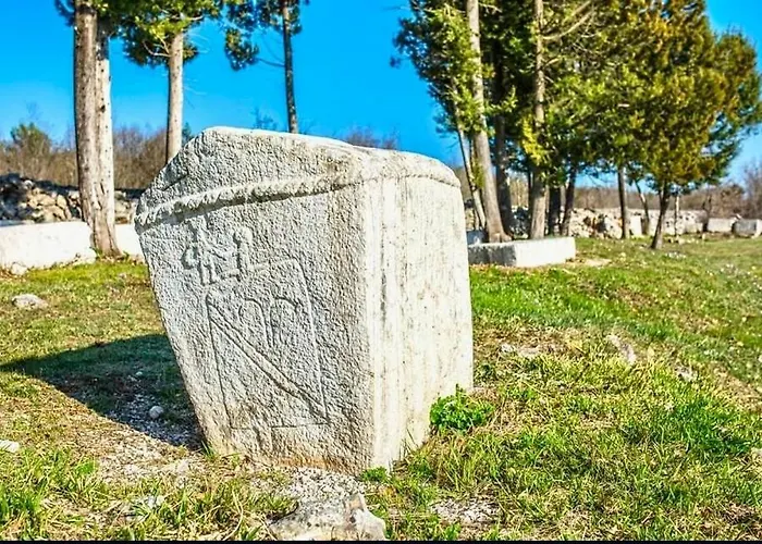 아파트 The Olive Tree *