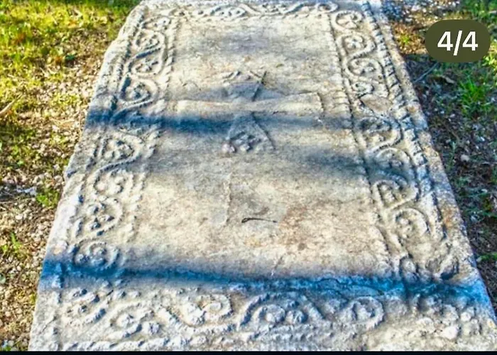 아파트 The Olive Tree *